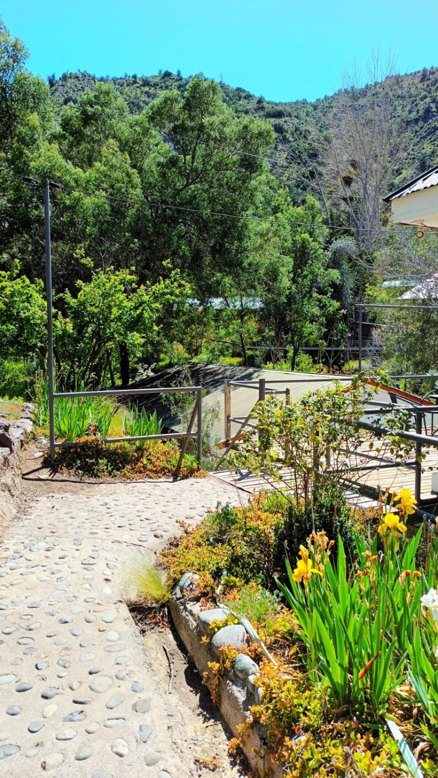 Hostal Los Penones San Alfonso Zewnętrze zdjęcie