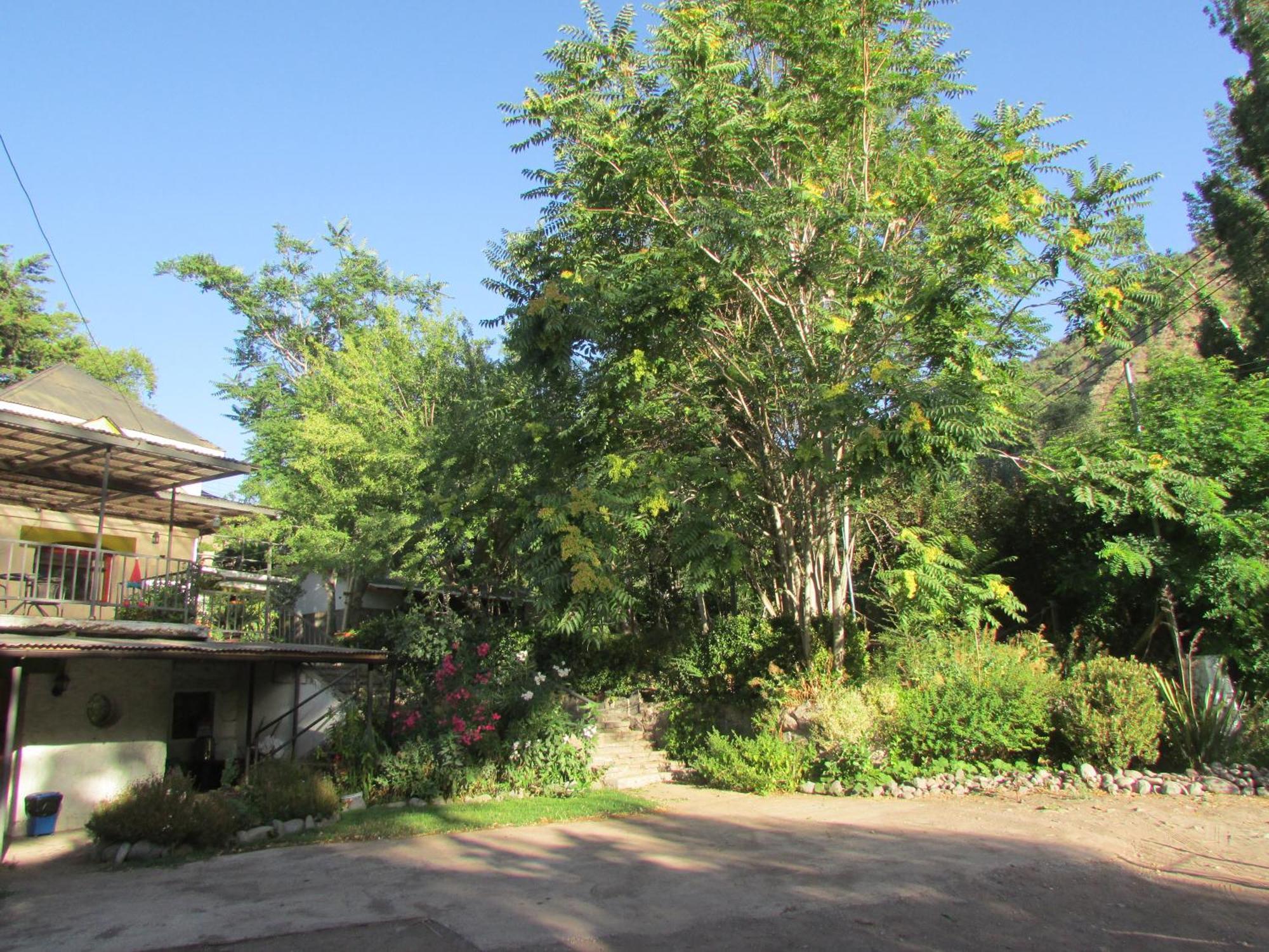 Hostal Los Penones San Alfonso Zewnętrze zdjęcie